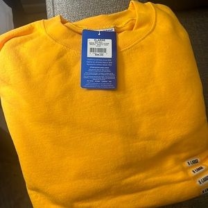 Brand new Champion Sweater